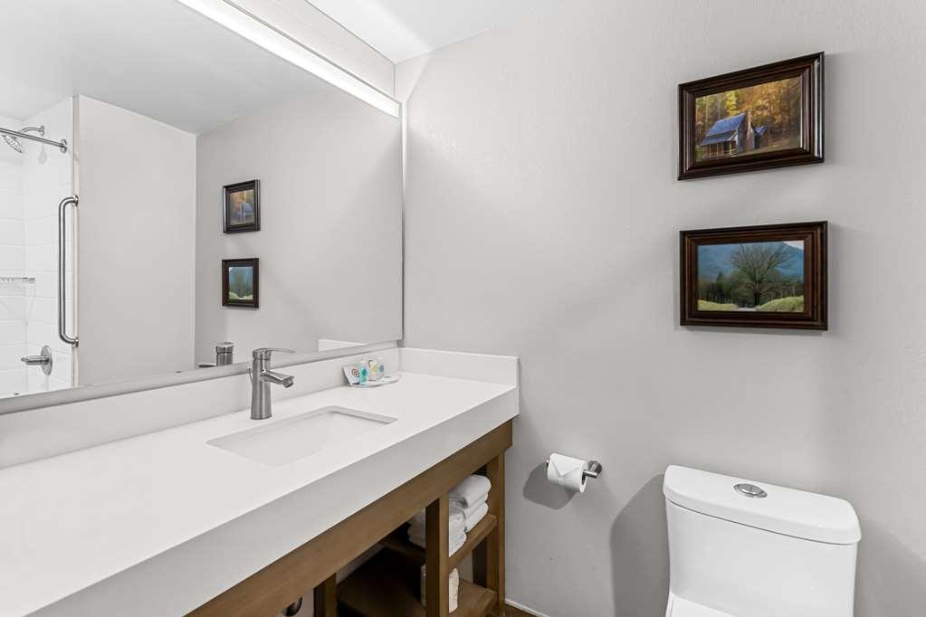 Comfort Suites Columbia Bilik gambar